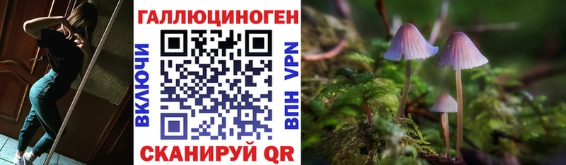 Галлюциногенные грибы GOLDEN TEACHER Тогучин